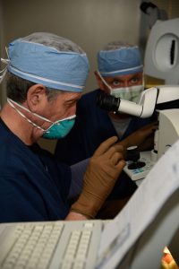 Dr. Lippman Performing LASIK Surgery